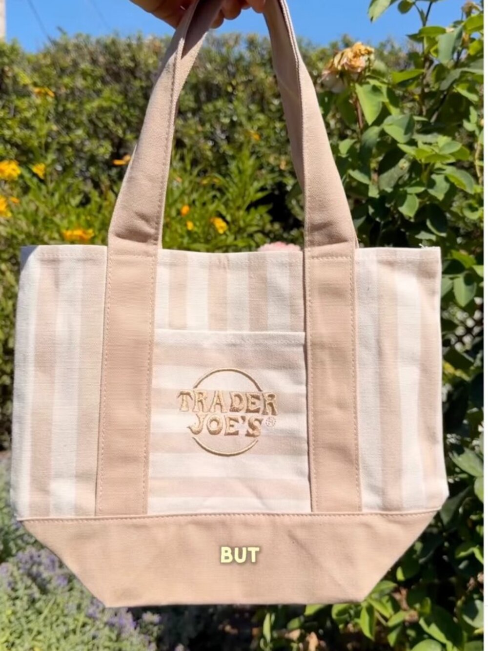 Trader Joe's Beige Striped Canvas Tote
